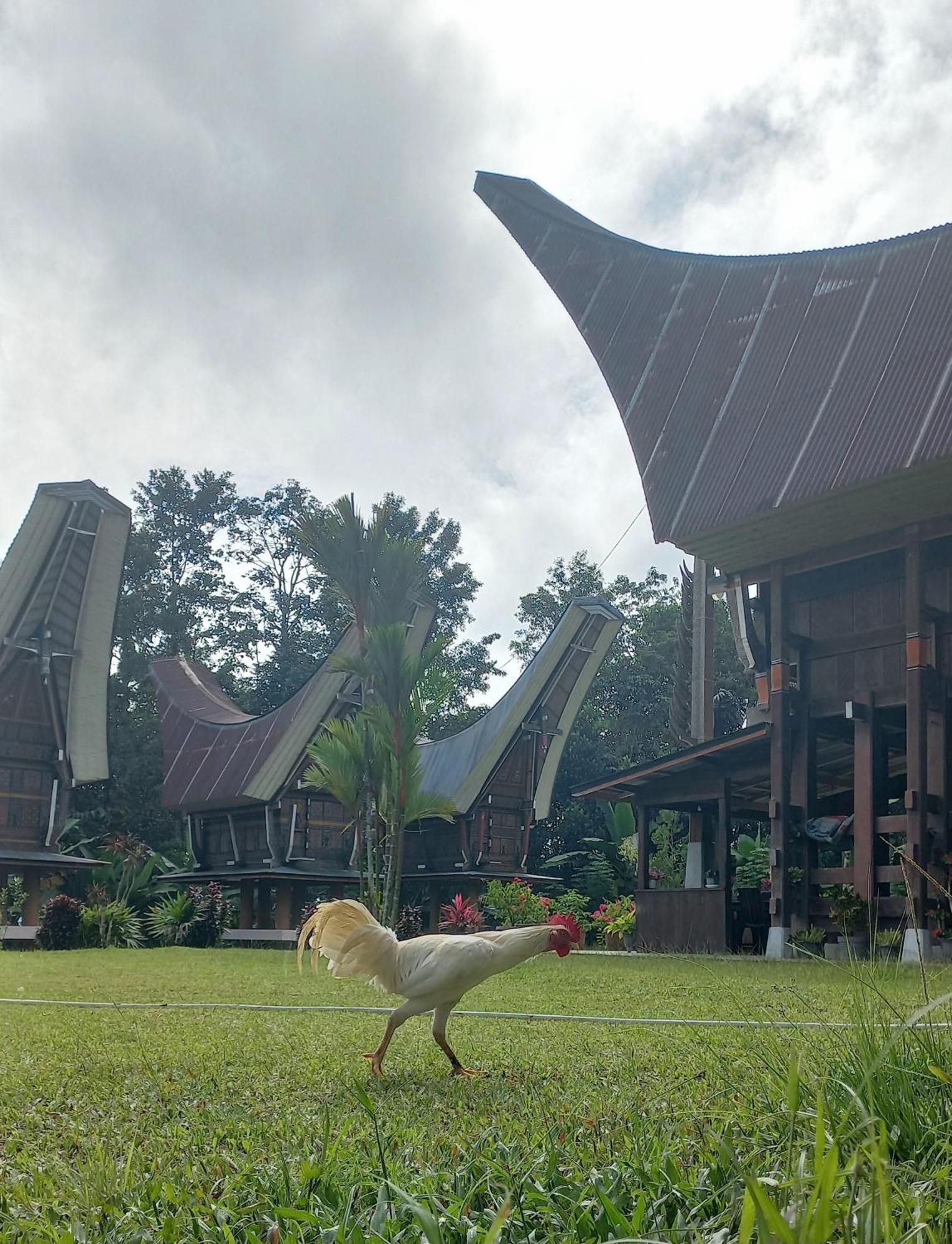 Toraja Homestay & Coffee Bunna Рантепао Экстерьер фото